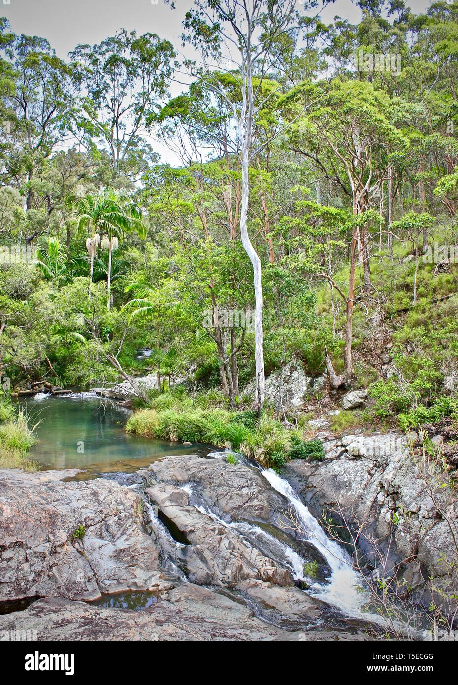 Tambourine mountains hires stock photography and images Alamy