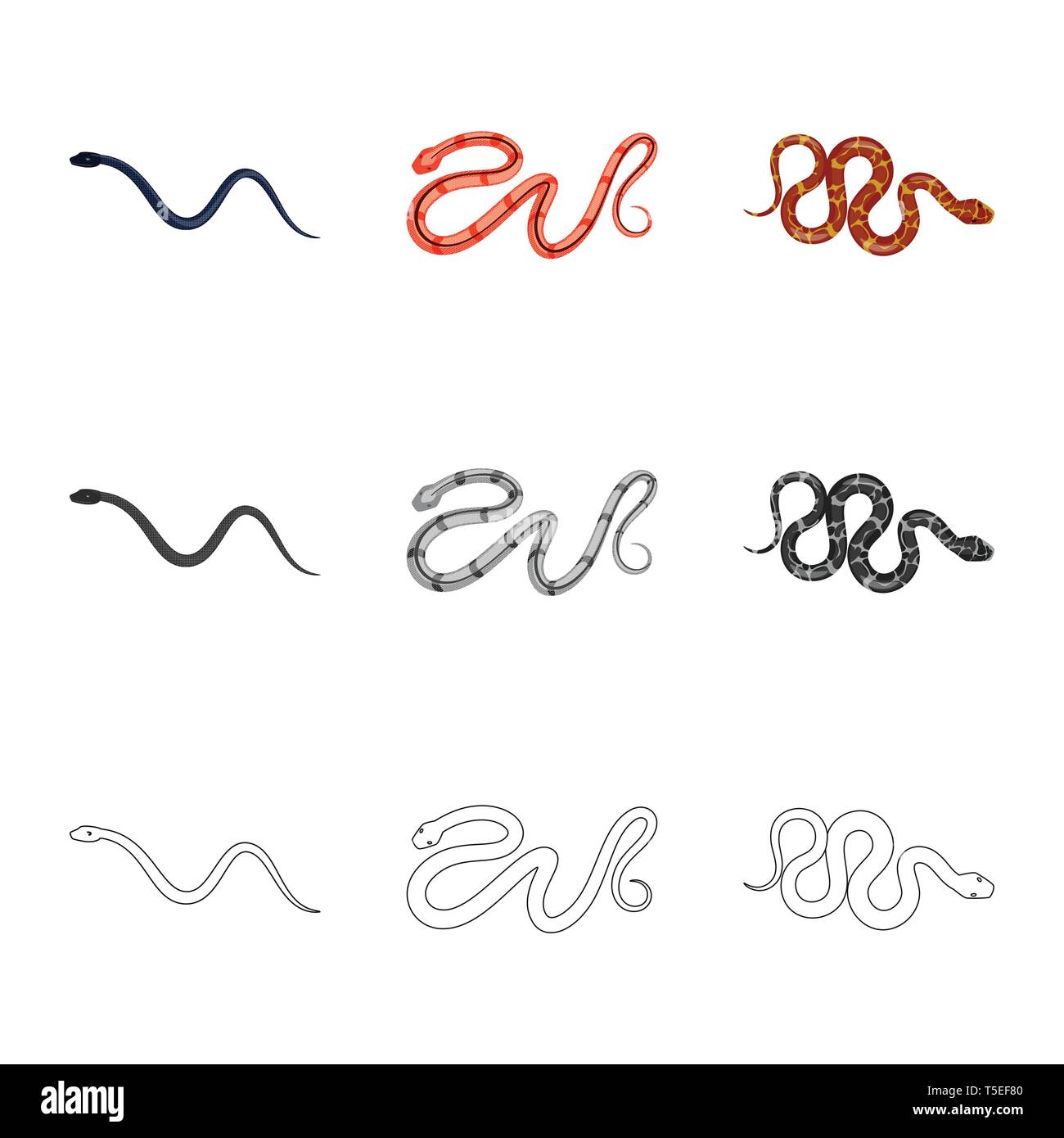 snake,tail,wild,spiral,tropics,forest,brazil,leather,tropical,creeping ...