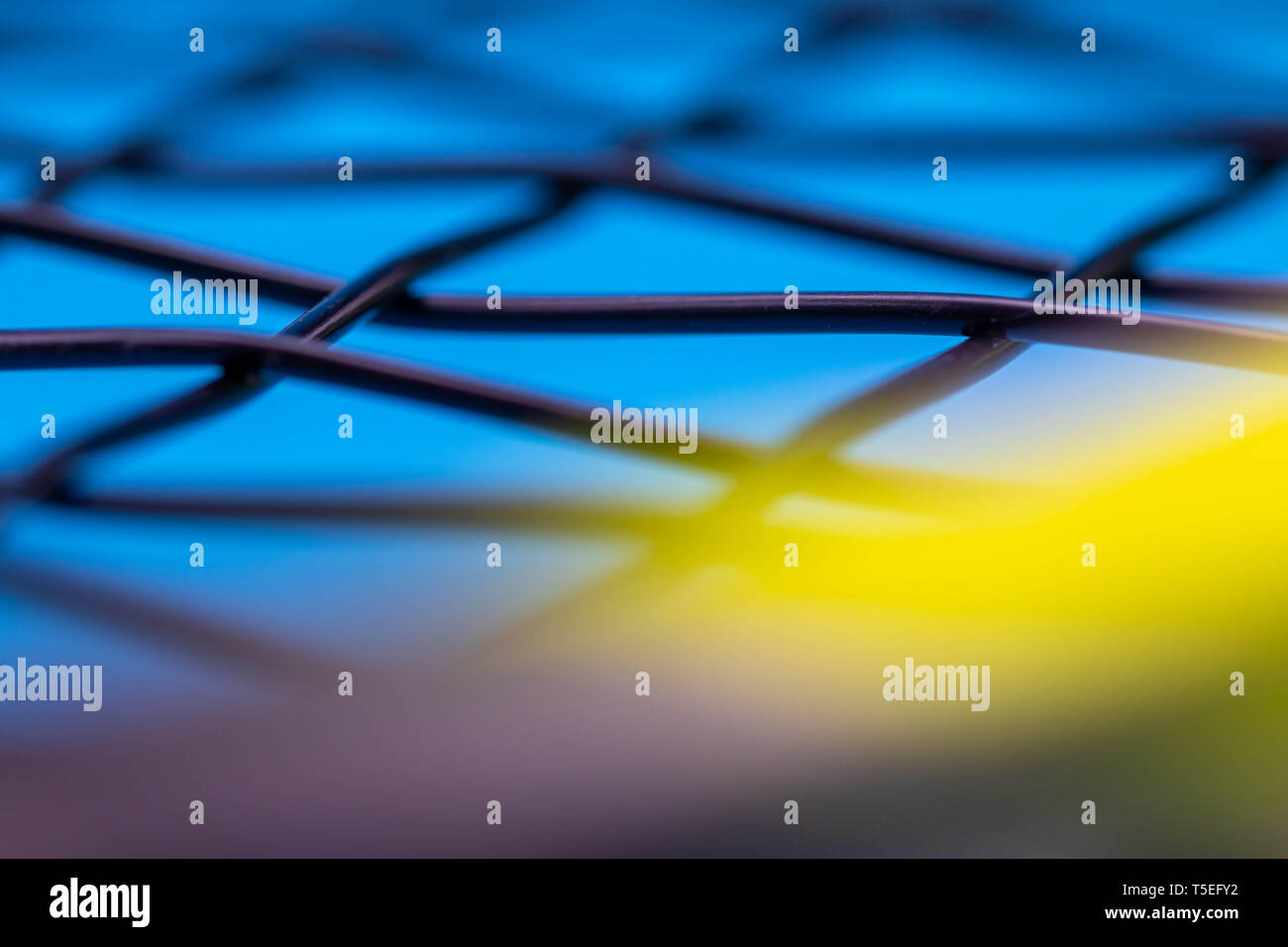 tennis racket string close up detail Stock Photo