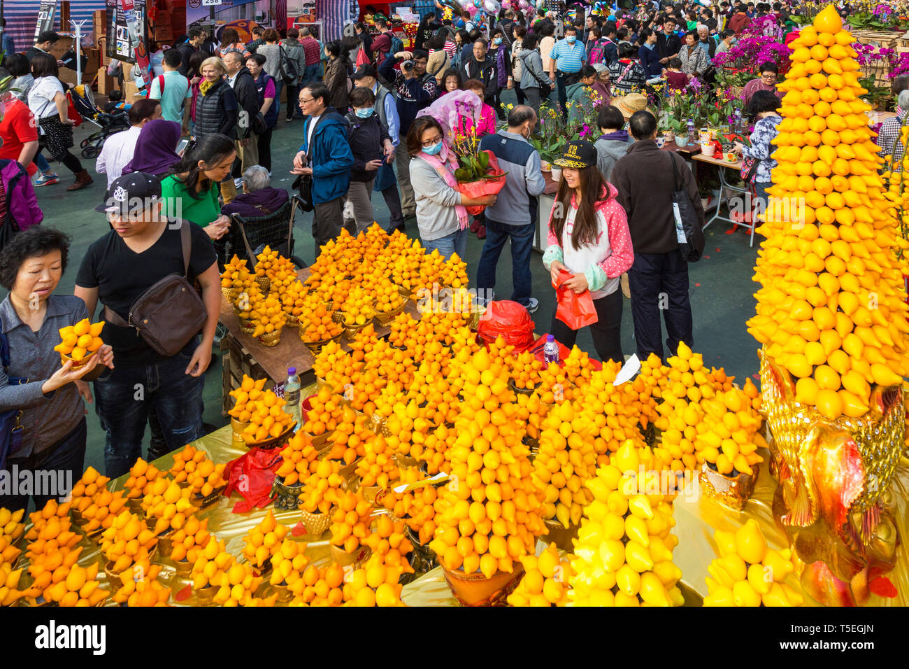 Pomelo stall, Lunar New Year flower fair, Victoria Park, Hong Kong, SAR