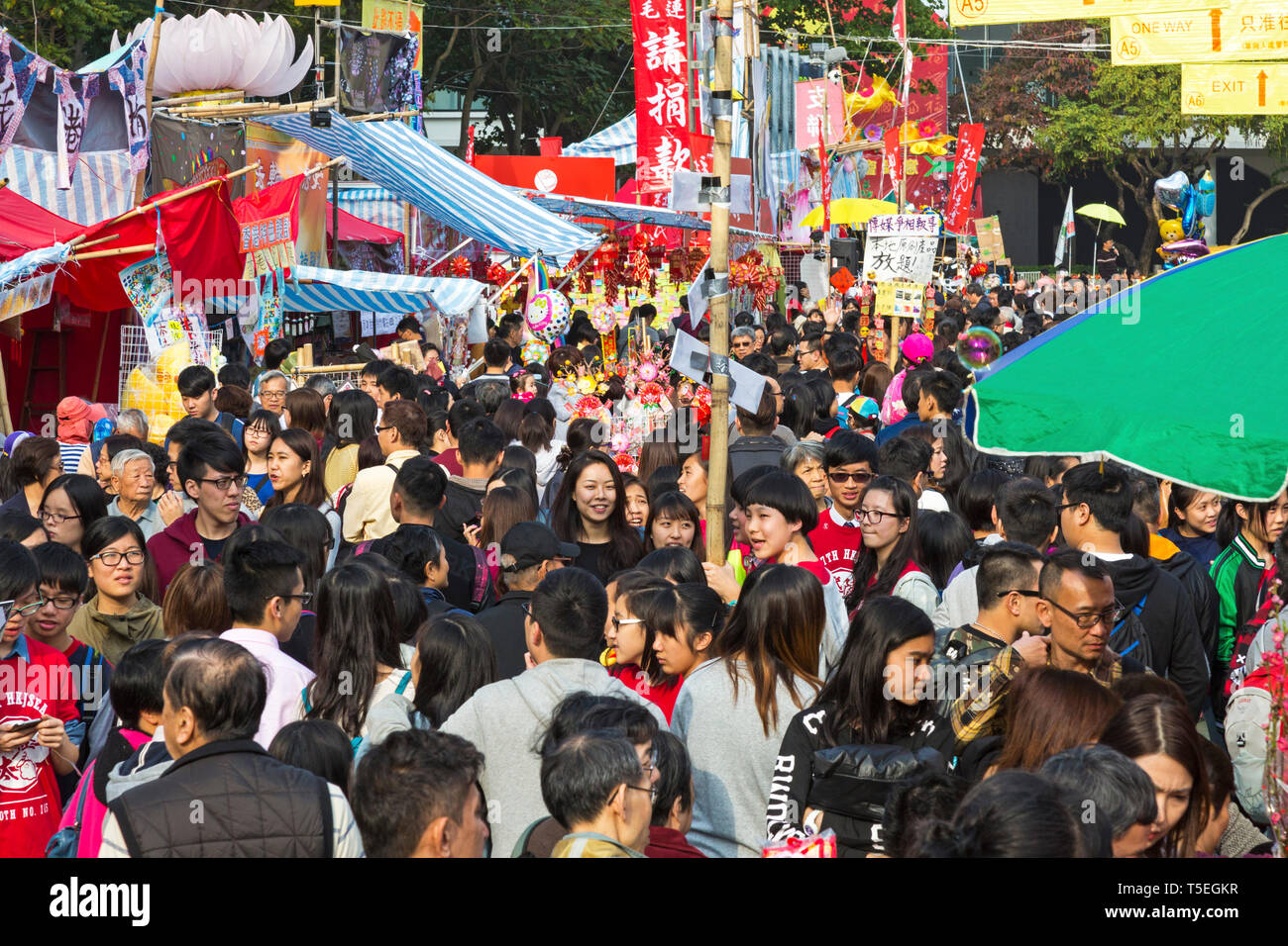 Lunar New Year flower fair, Victoria Park, Hong Kong, SAR, China Stock