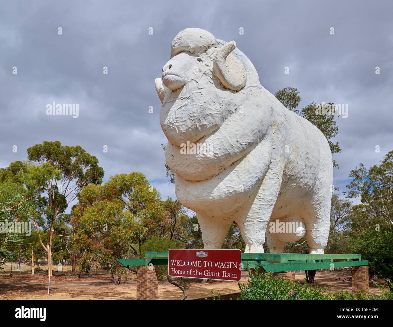 The Big also known as the Giant Ram and is the second largest i the  southern hemisphere Stock Photo - Alamy