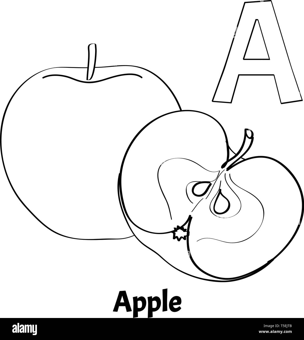 Vector alphabet letter A, coloring page. Apple Stock Vector