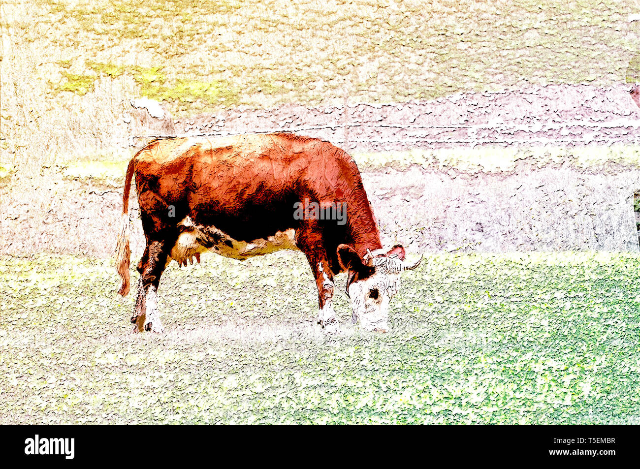 Digitally enhanced image of a Tyrolean Brown Cow without horns grazing in a mountain pasture, Stubai Valley, Tyrol, Austria Stock Photo