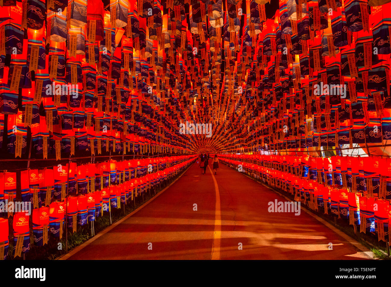 Tunnel of lanterns during the Jinju Lantern Festival in Jinju , South Korea  Stock Photo - Alamy