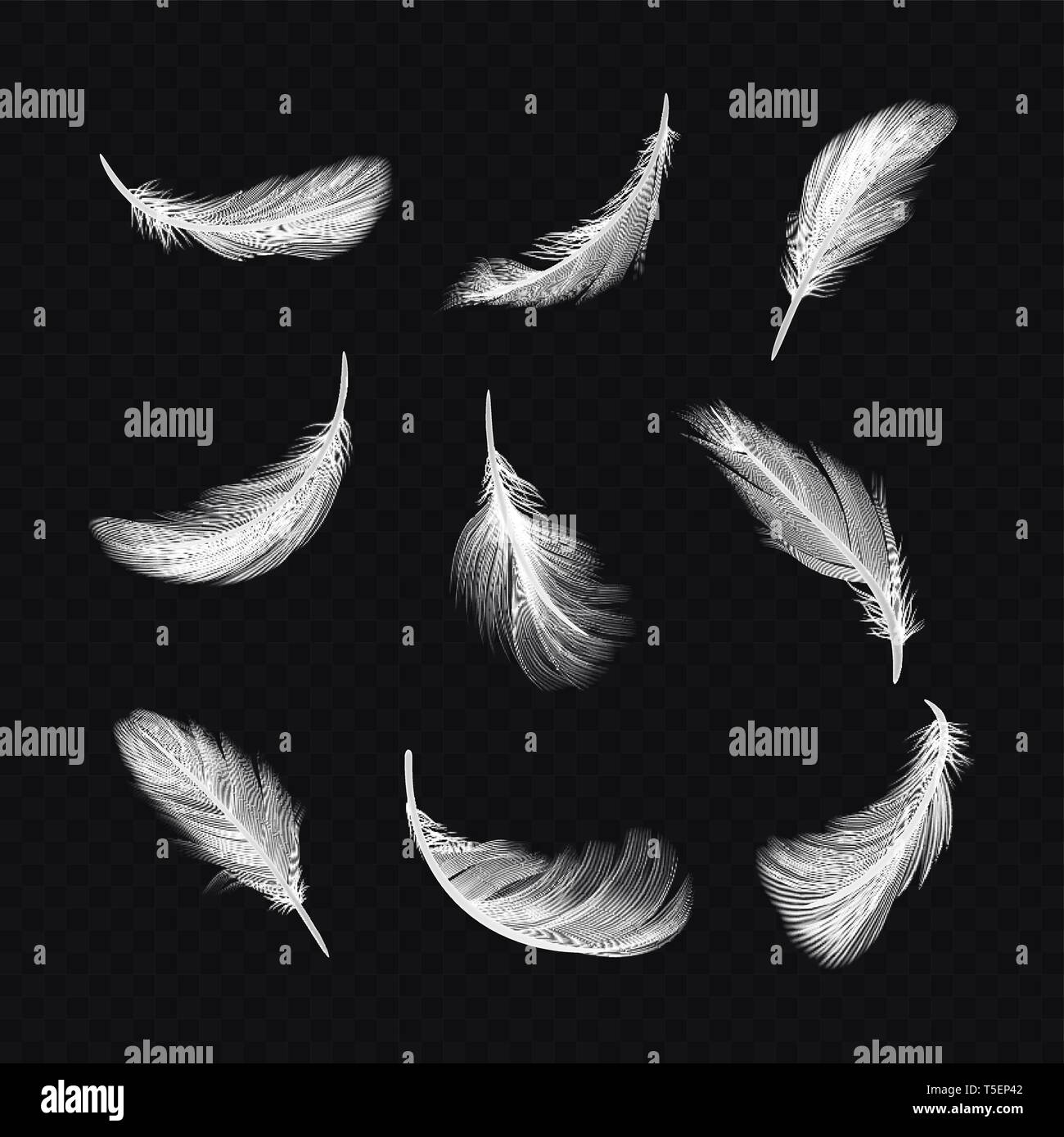 Set of isolated white bird feather on transparent Stock Vector Image ...