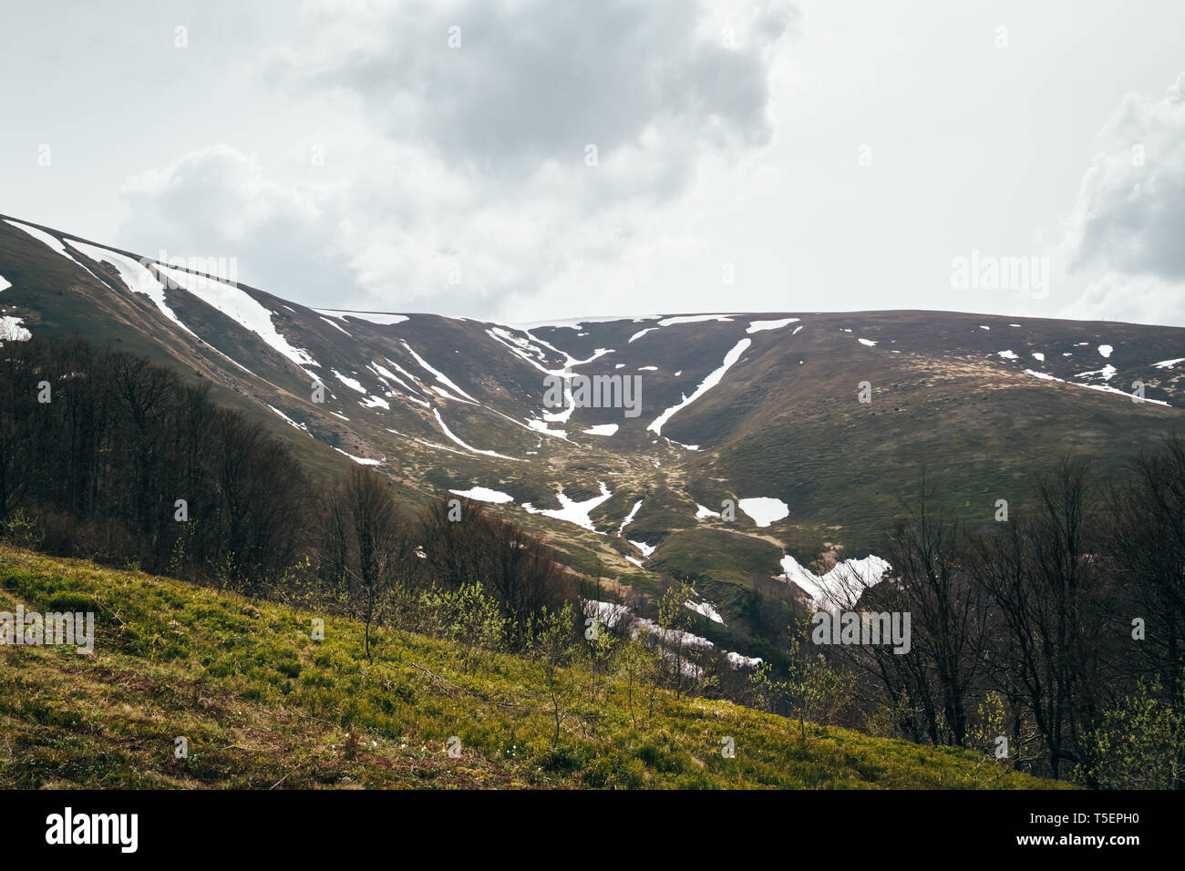 Spring in mountains. Beautiful mountain landscape with snow on the north slope. Stock Photo