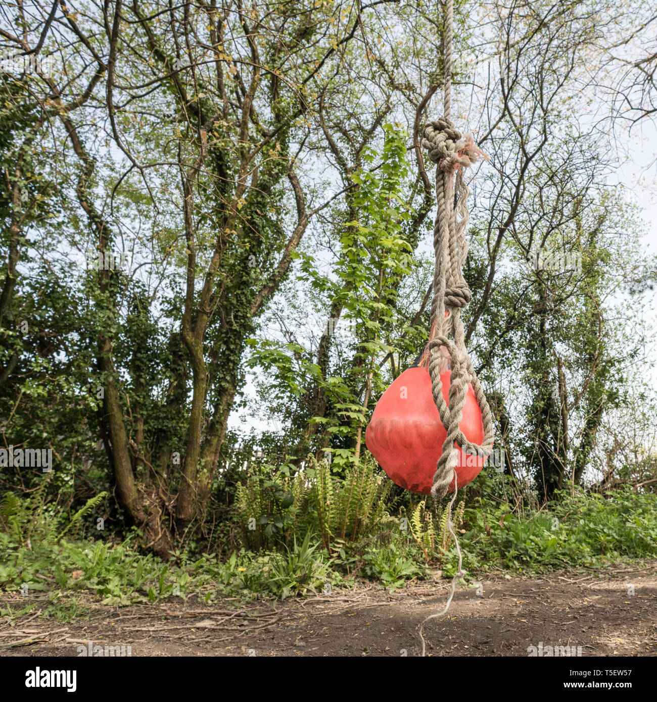 Homemade backyard tree swing made with a smallish marine marker buoy