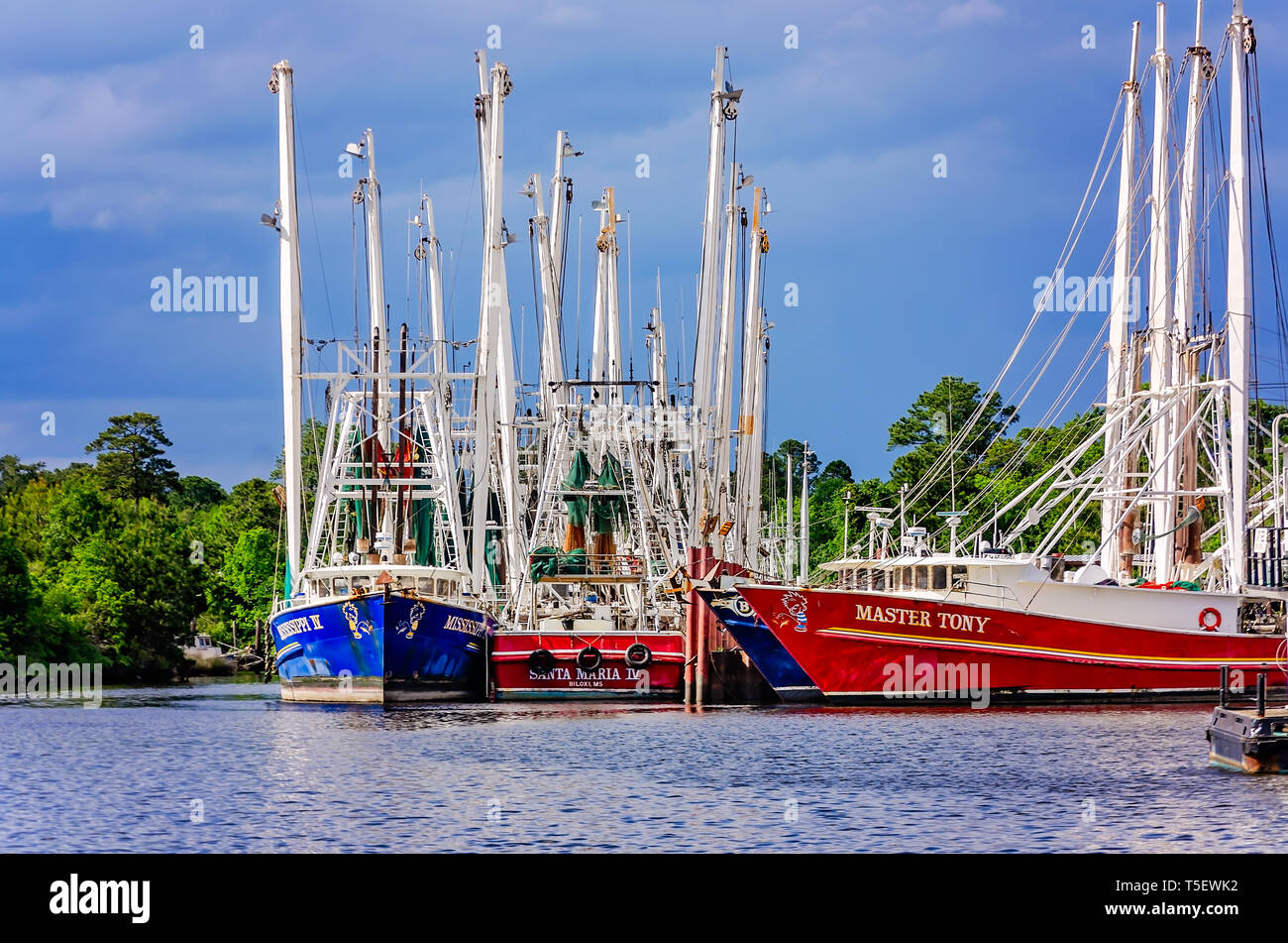 Shrimp boats,including Mississippi IV, Santa Maria IV, and Master Tony