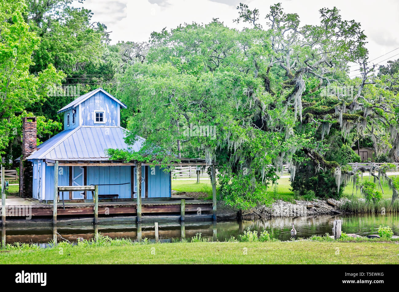 A fishing camp is pictured alongside a Spanish mossdraped live oak