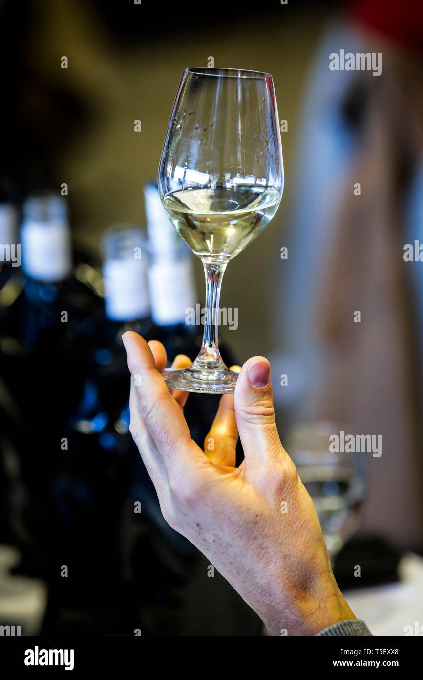 Illustration, blind wine tasting contest: man holding a glass of white wine for a visual inspection Stock Photo