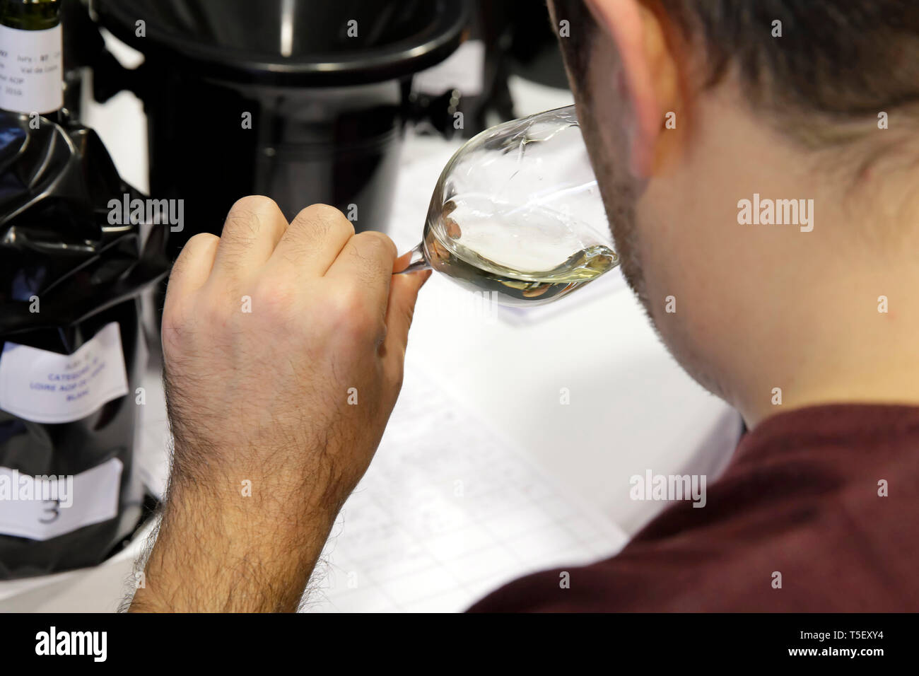 Illustration, blind wine tasting contest: man holding a glass of white wine for a visual inspection Stock Photo