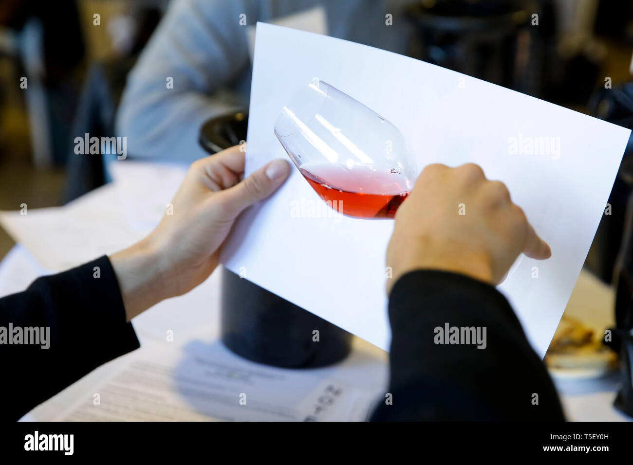 Illustration, blind wine tasting contest: man holding a glass of white wine in front of a white sheet for a visual inspection Stock Photo