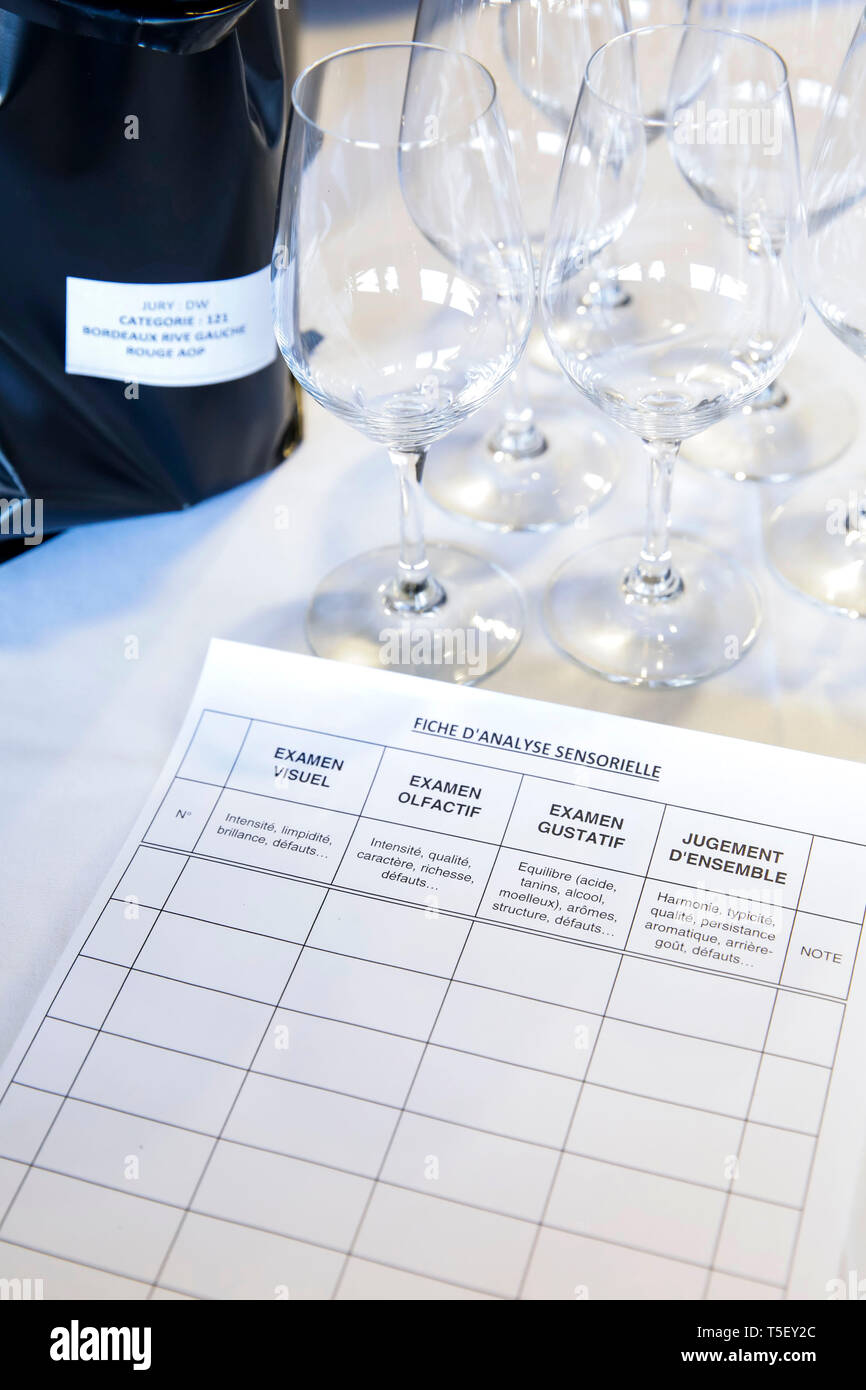 Illustration, blind wine tasting contest: sensory tasting grid to rate the wine after a visual, olfactory and gustatory analysis as well as an overall Stock Photo