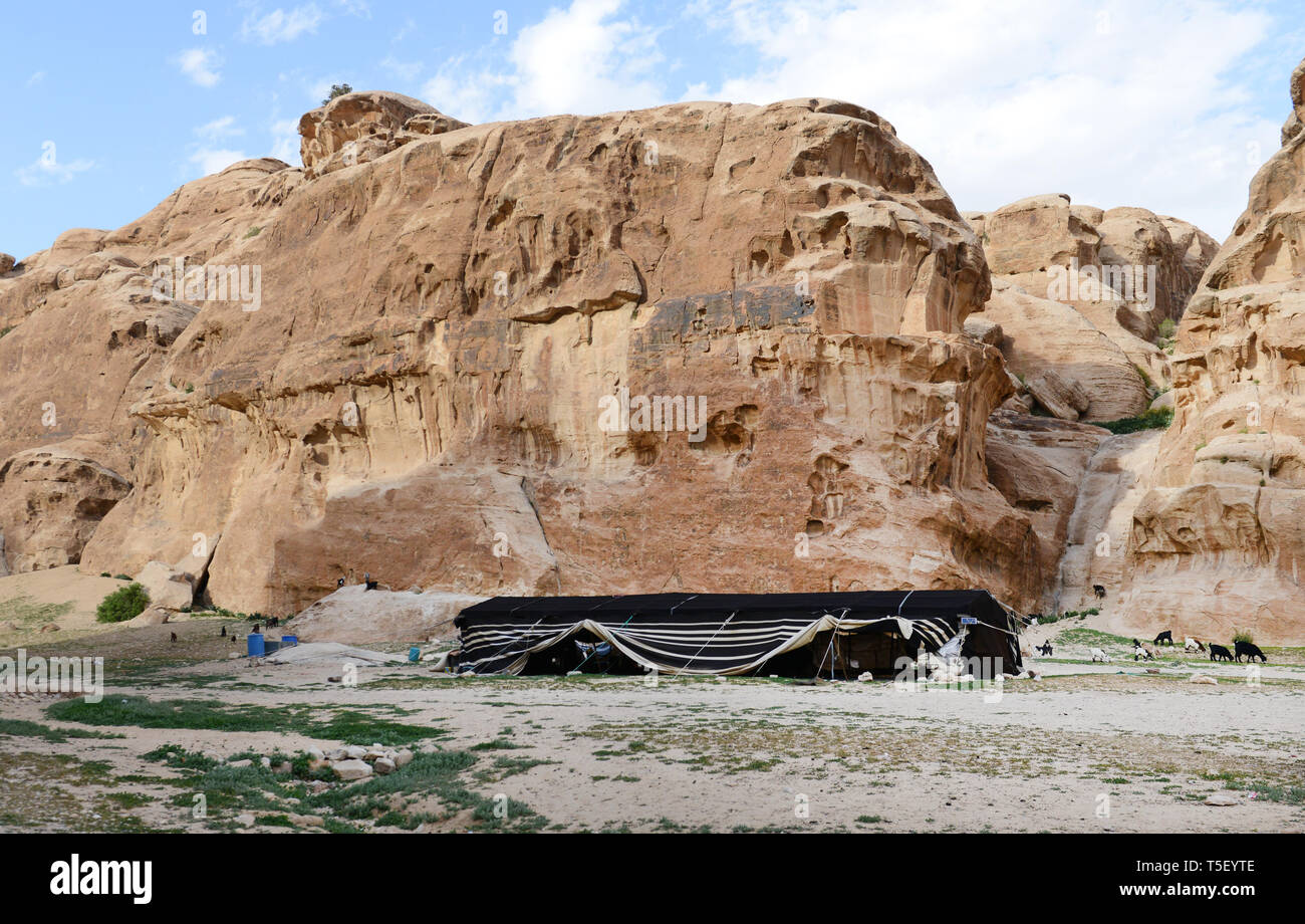 Bedouin tents hires stock photography and images Alamy