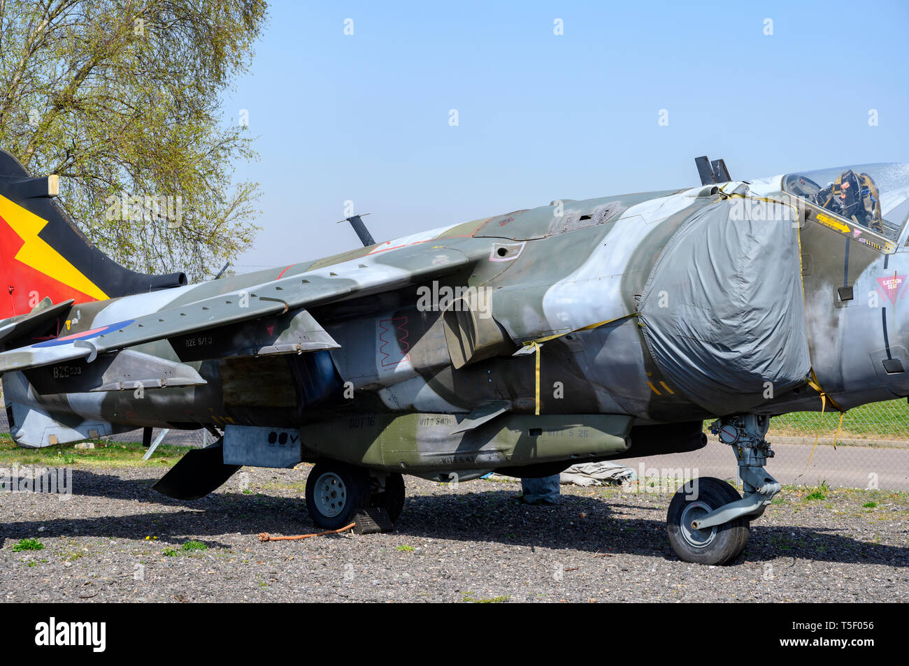 British Aerospace Harrier GR.3 ZD667 Stock Photo