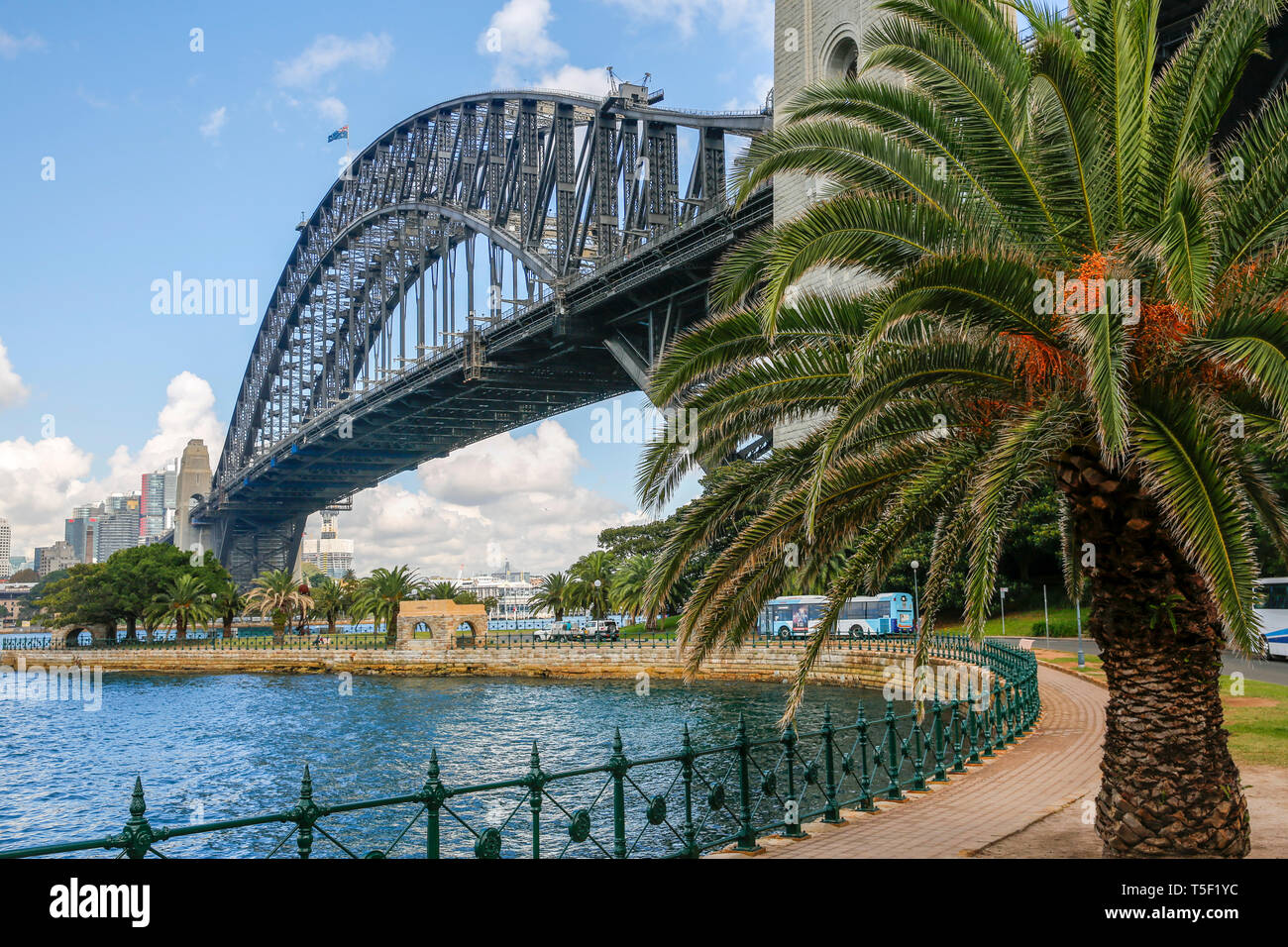Sydney harbour bridge with palm tree and city centre office buildings,Sydney,Australia Stock Photo