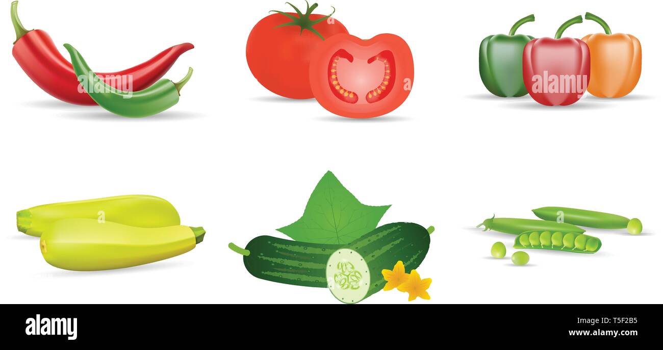 Realistic vegetables. Tomato, green cucumbers, peppers, zukini and pea ...