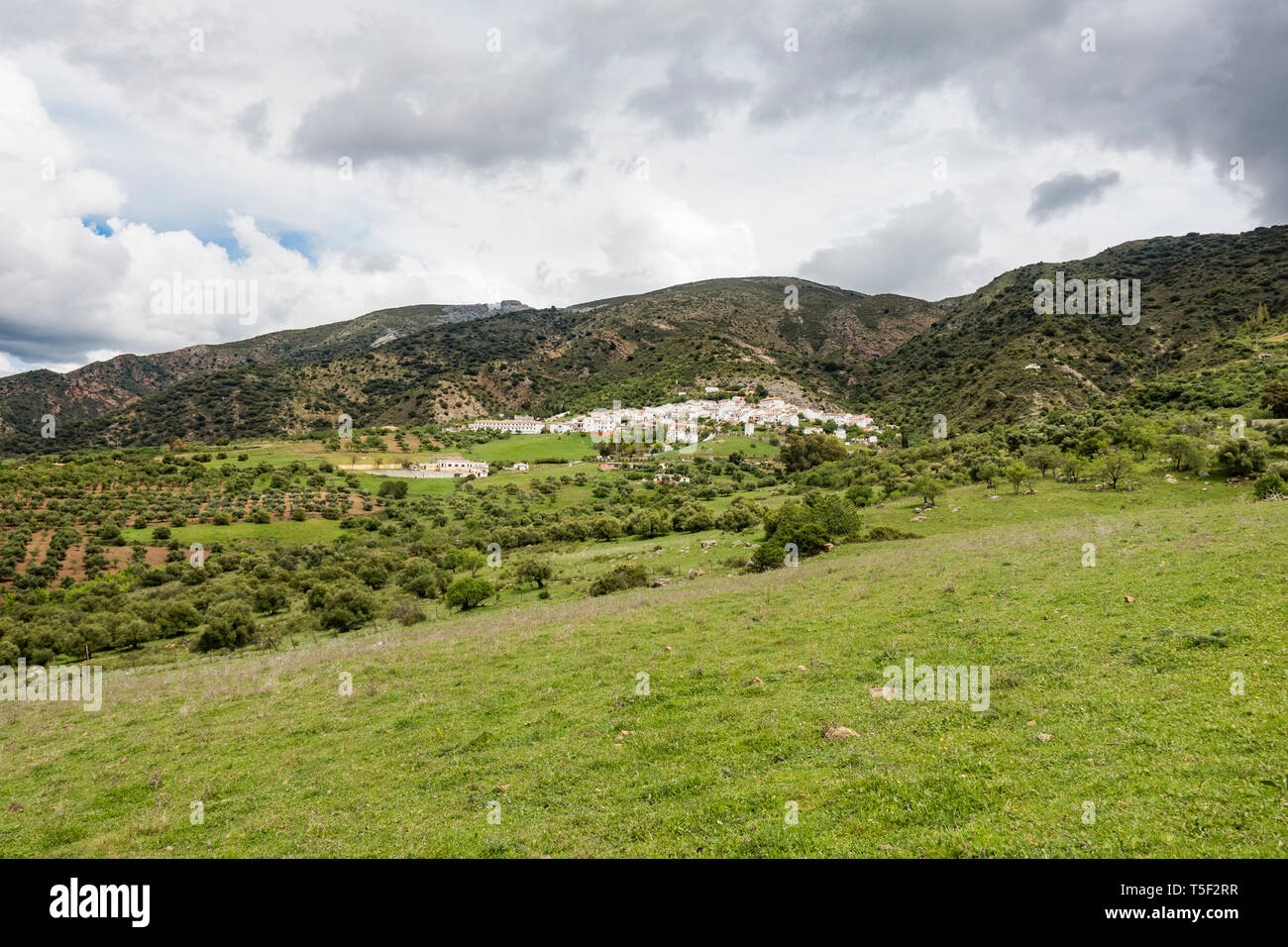 The white village of Jimera de libar, in the mountains of Serranía de Ronda, Andalusia, Spain. Stock Photo