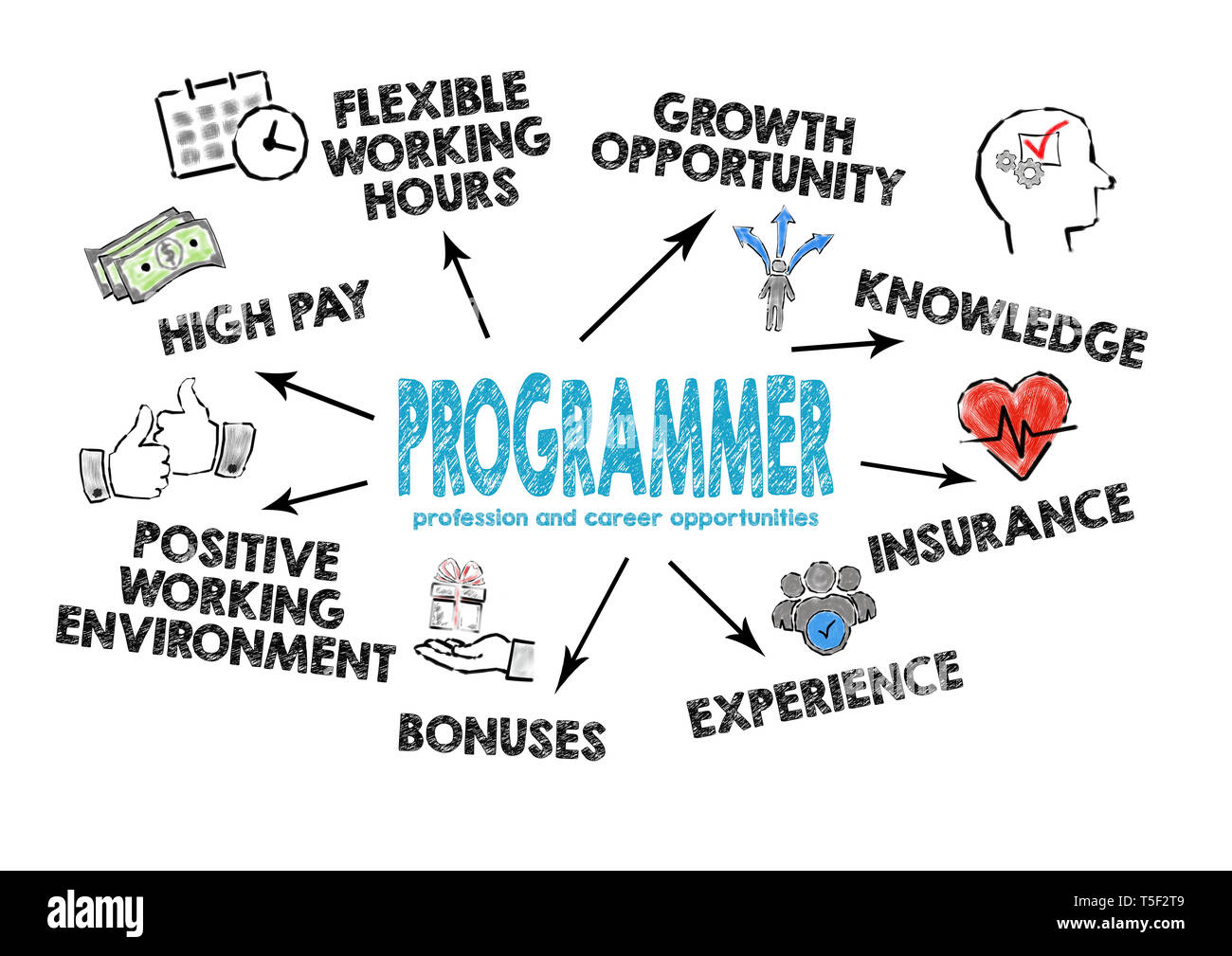 Programmer profession and career opportunities Stock Photo - Alamy