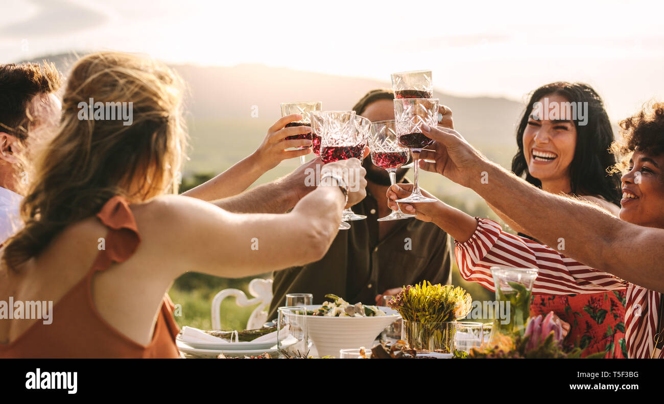 Group of young friends toasting drinks at a party. Young friends having