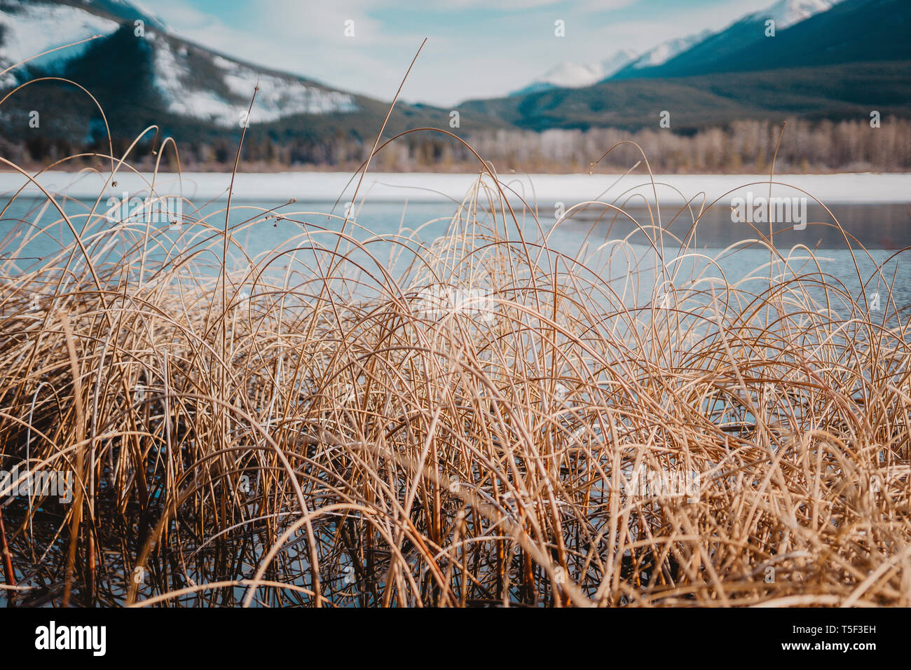 Beautiful sunrise over Vermillion Lake , Banff National Park, Alberta, Canada. Vermilion Lakes are a series of lakes located immediately west of Banff Stock Photo