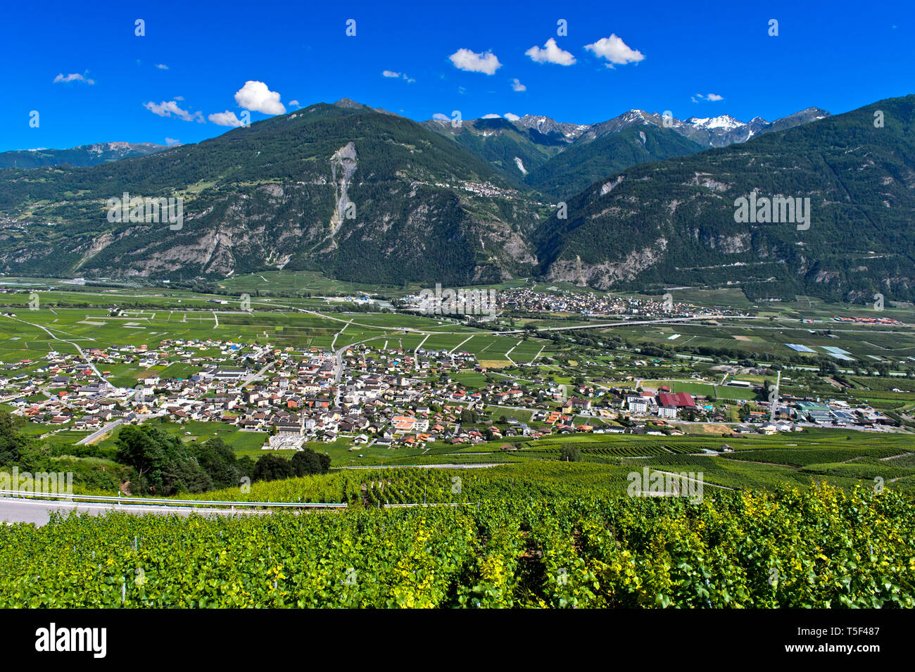 Wine-growing area Leytron in the Rhone Valley, Leytron, Valais, Switzerland Stock Photo