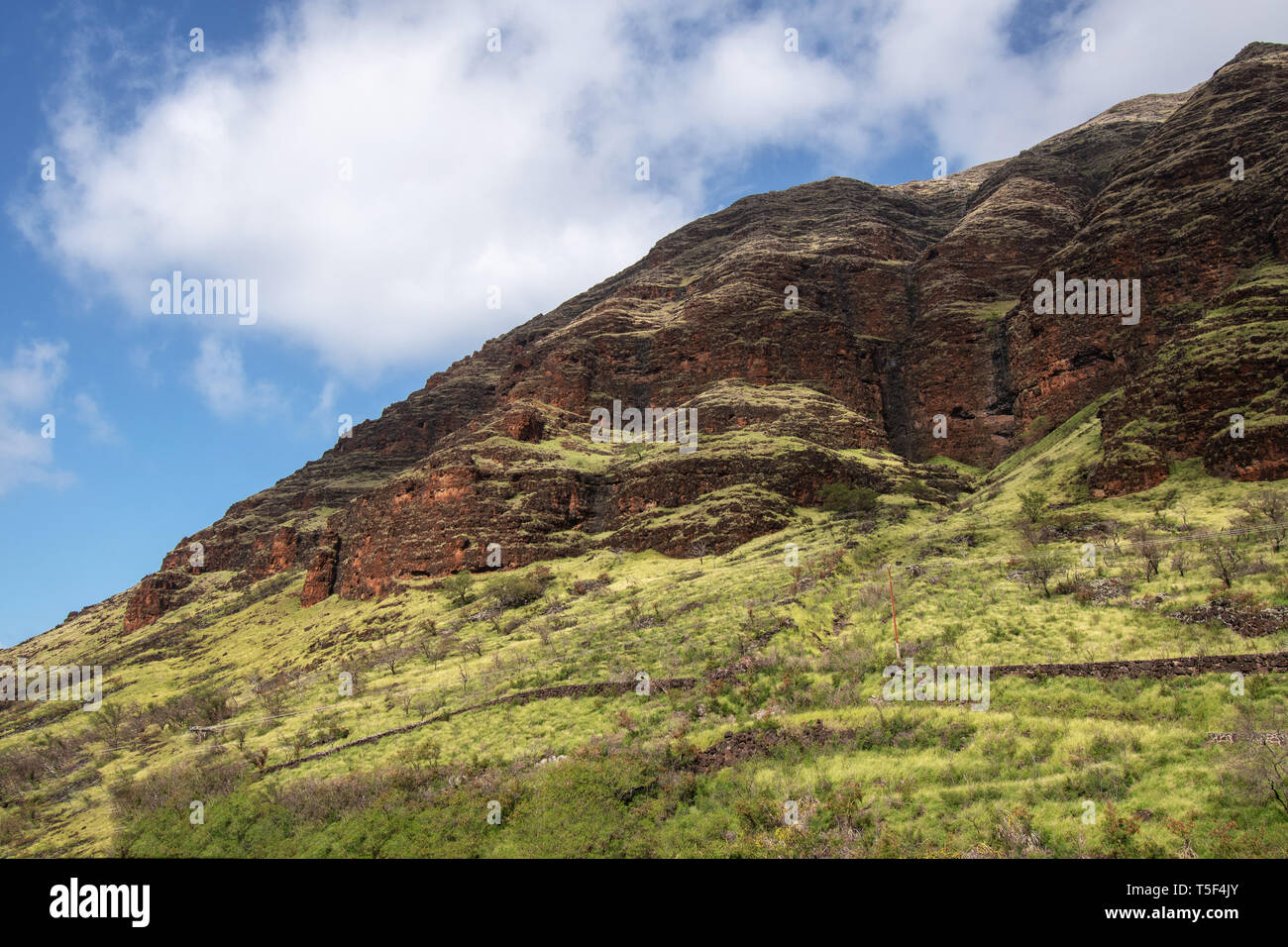 Mount Ka'ala in the Wai'anae Mountain Range Stock Photo Alamy
