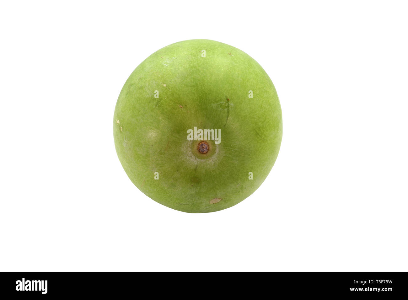 Fresh Winter melon fruit isolated on white background. High resolution image gallery. Stock Photo