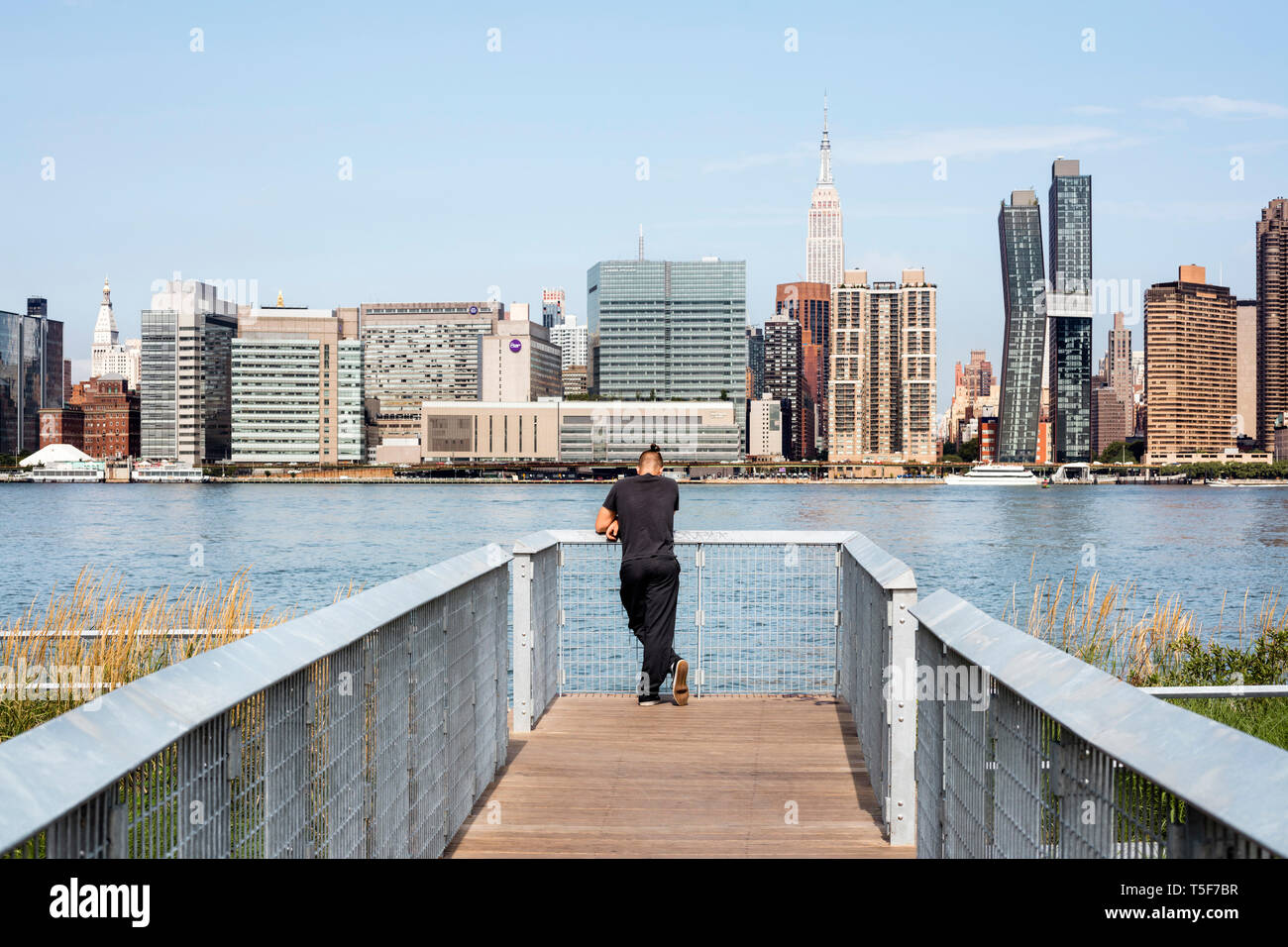 Visitor on a bridge over the wetlands, overlooking the East River and Midtown Manhattan. Hunters Point South Park, New York, United States. Architect: Stock Photo