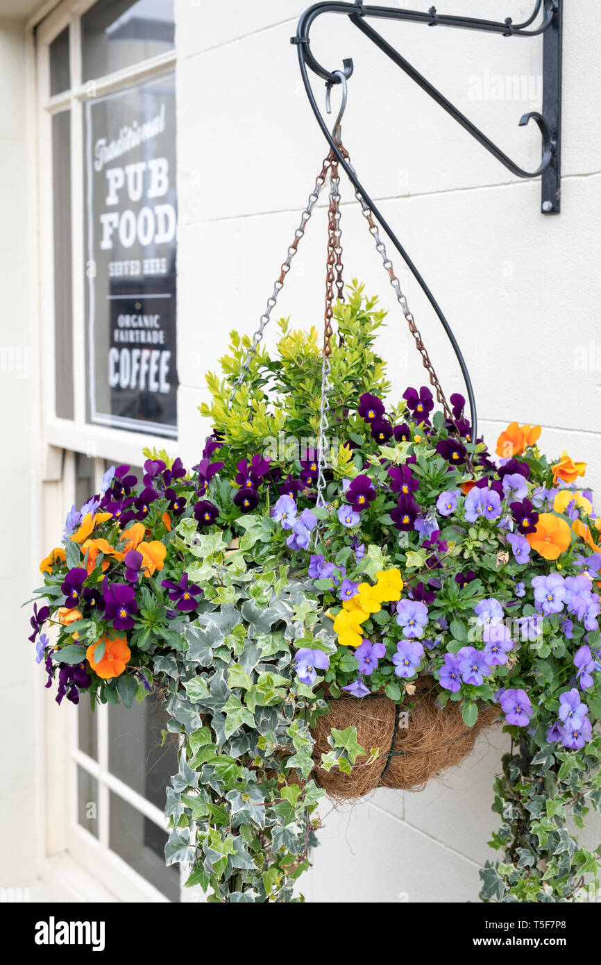 Colourful floral hanging basket outside the earl of lonsdale pub in Portobello Road. Notting Hill, West London. UK Stock Photo