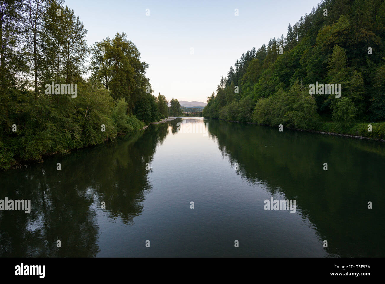 Serene Calm River Lined With Trees Stock Photo