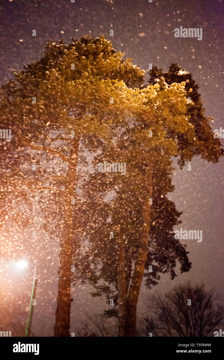 Snowfall background hi-res stock photography and images - Alamy