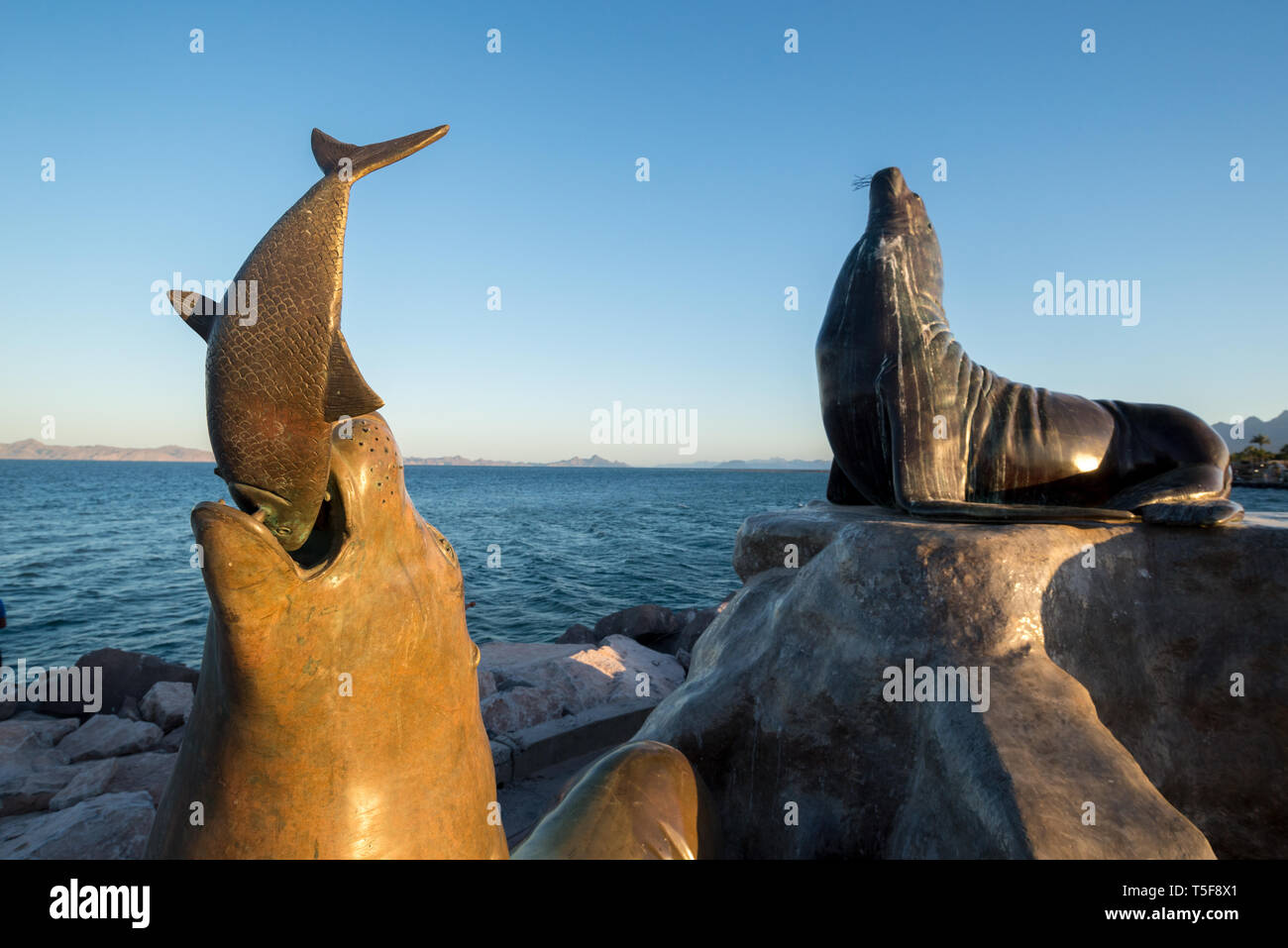Sea lion sculptures on the waterfront of Loreto, Baja California Sur, Mexico. Stock Photo