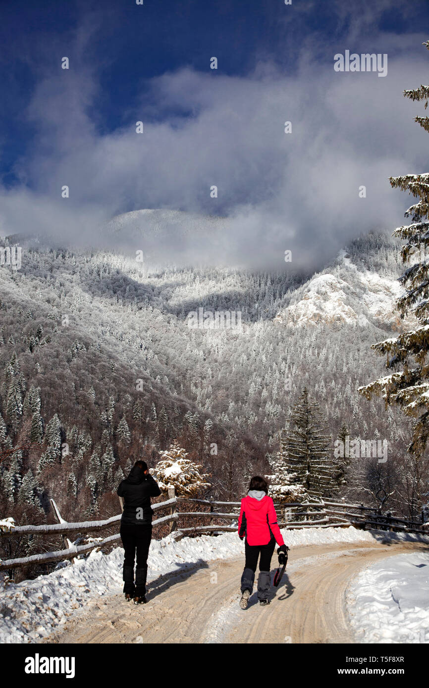 Walking in snowy road hi-res stock photography and images - Alamy