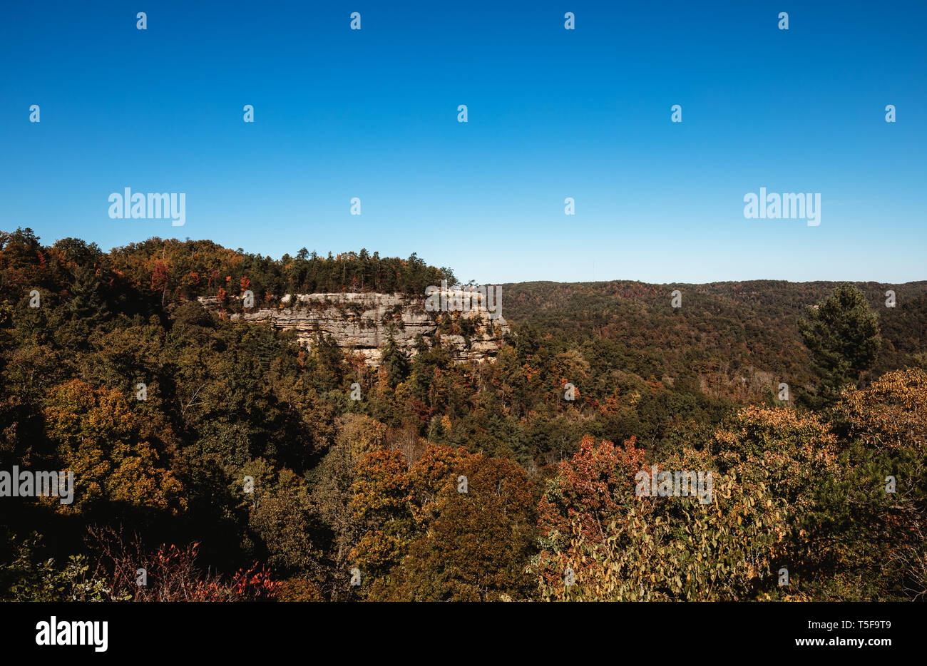 View looking over Kentucky from Natural Arch Bridge on sunny fall day Stock Photo