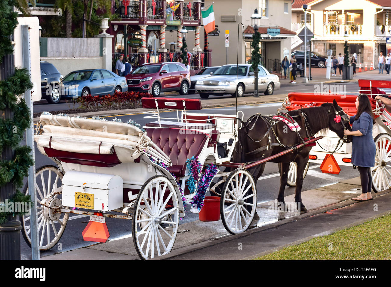 St. Augustine, Florida. January 26 , 2019 . Woman caressing horse
