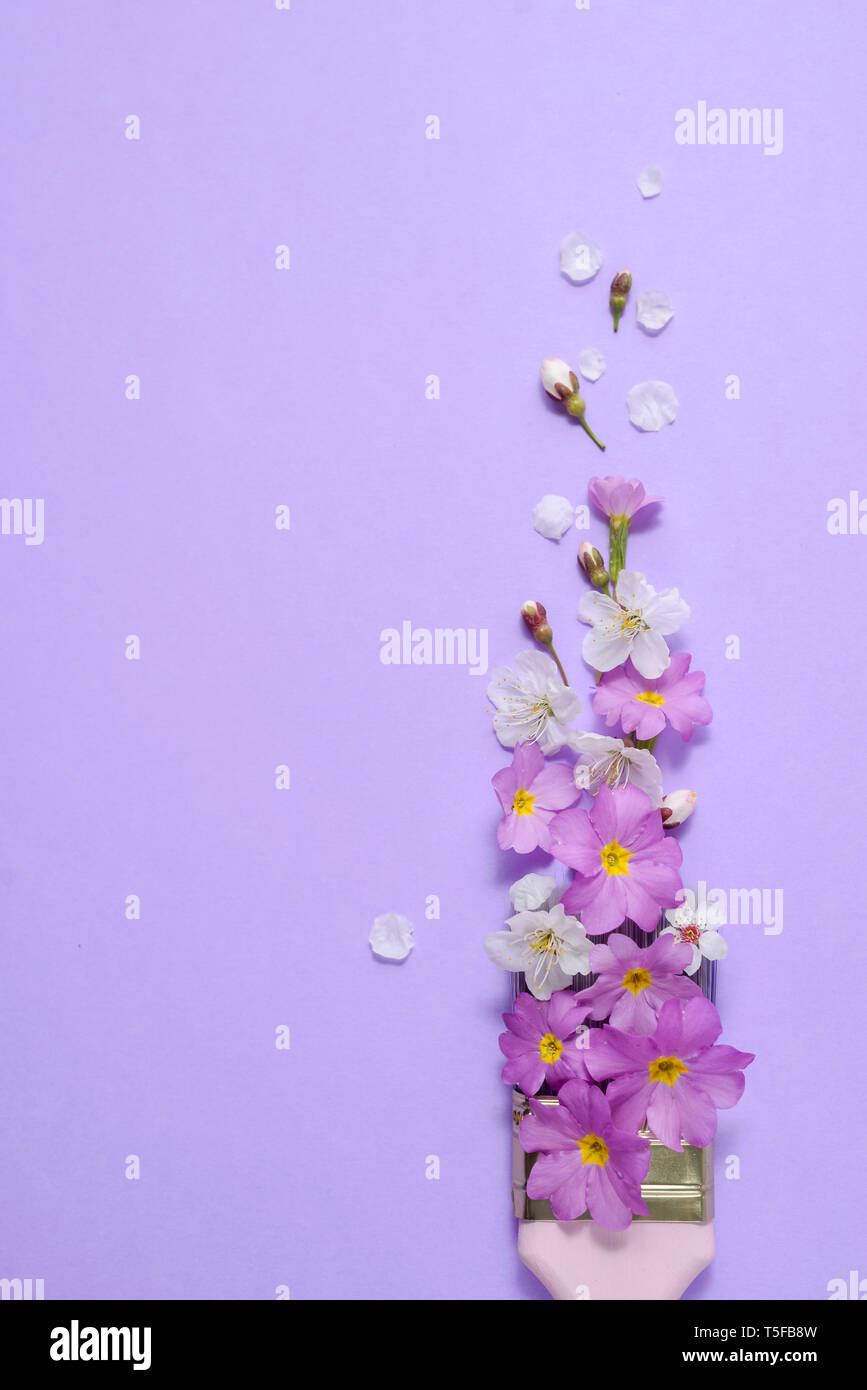 Creative concept. Paintbrush with cherry blossoms and purple flower on pastel purple background. Minimal nature composition with copy space.Flat lay, Stock Photo