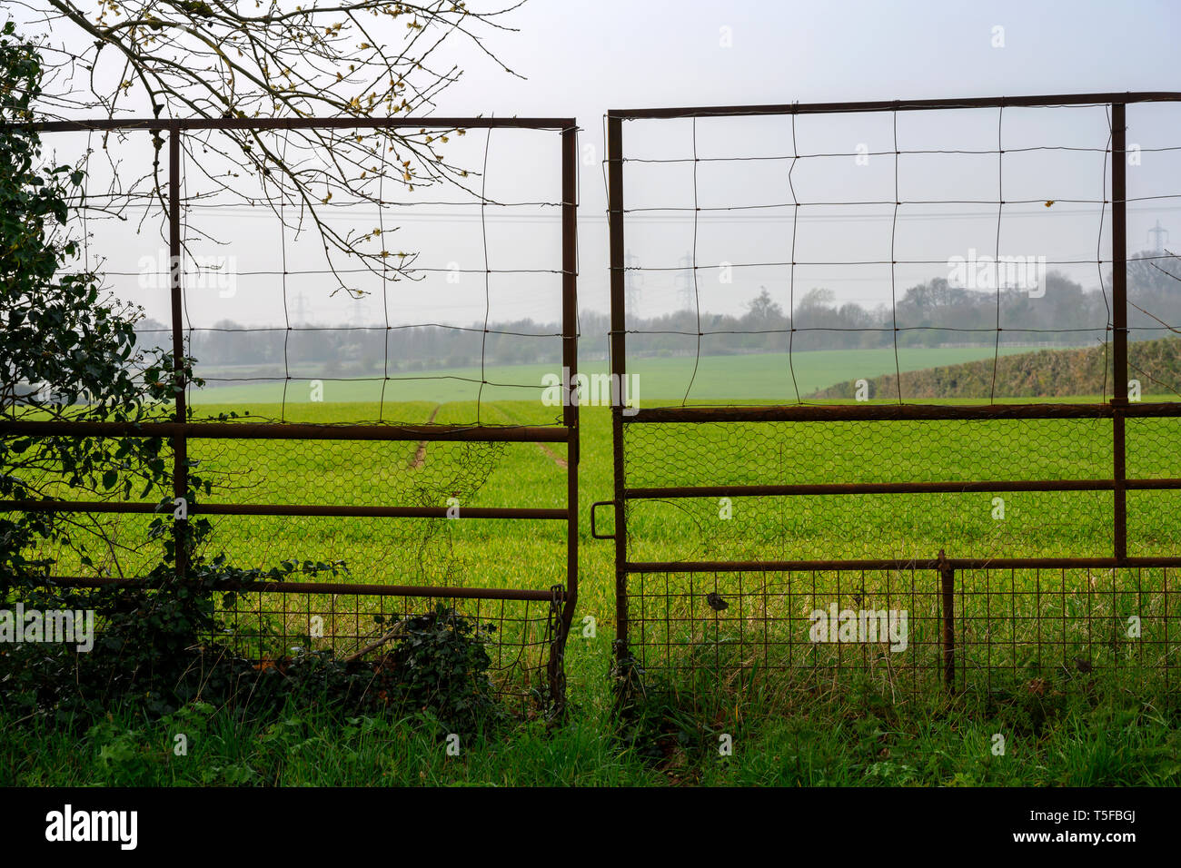 Steel gate blocking off access to a field Stock Photo