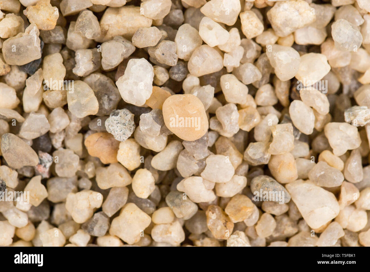 yellow sand background, grains, macro, close up Stock Photo