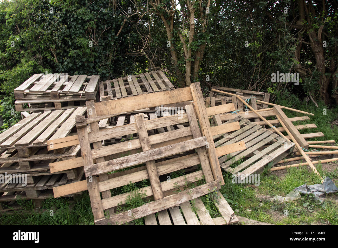 Pile of broken pallets Stock Photo Alamy