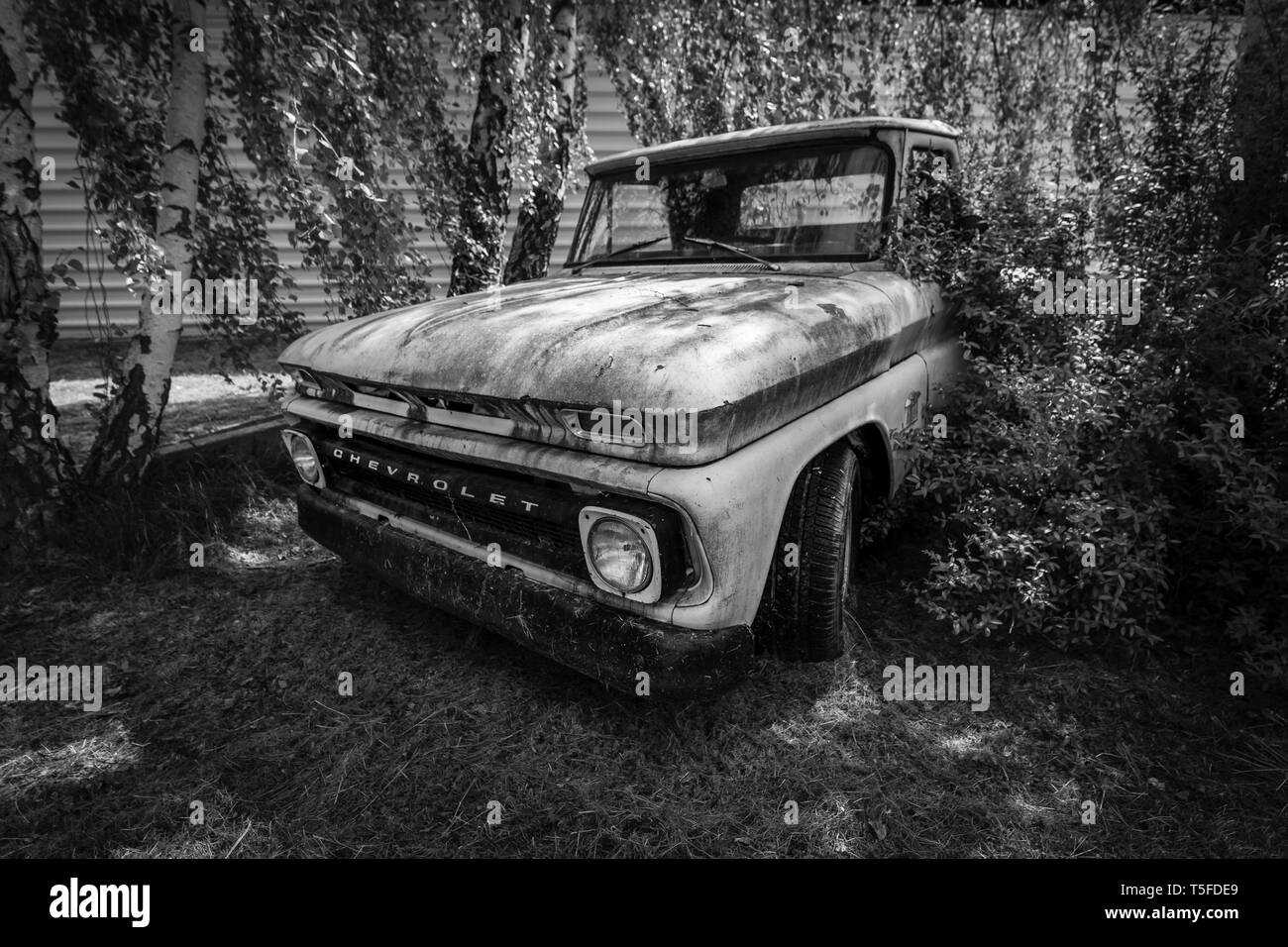 BERLIN - MAY 05, 2018: Full-size pickup truck Chevrolet C/K (First generation). Black and white. Stock Photo