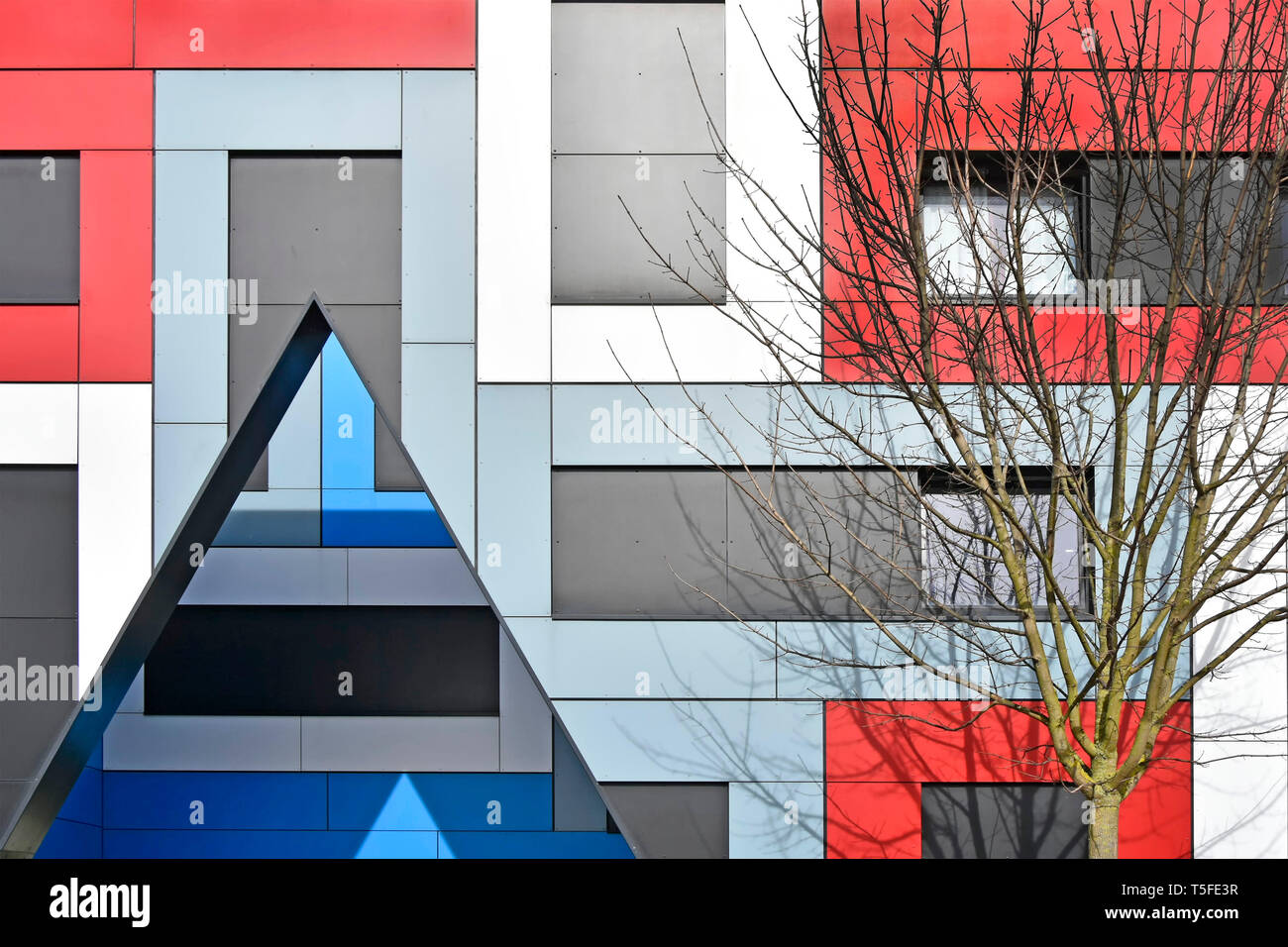 Tree & colourful abstract geometric  architectural shapes with triangle on cladding facade of modern student accommodation building in Southend UK Stock Photo