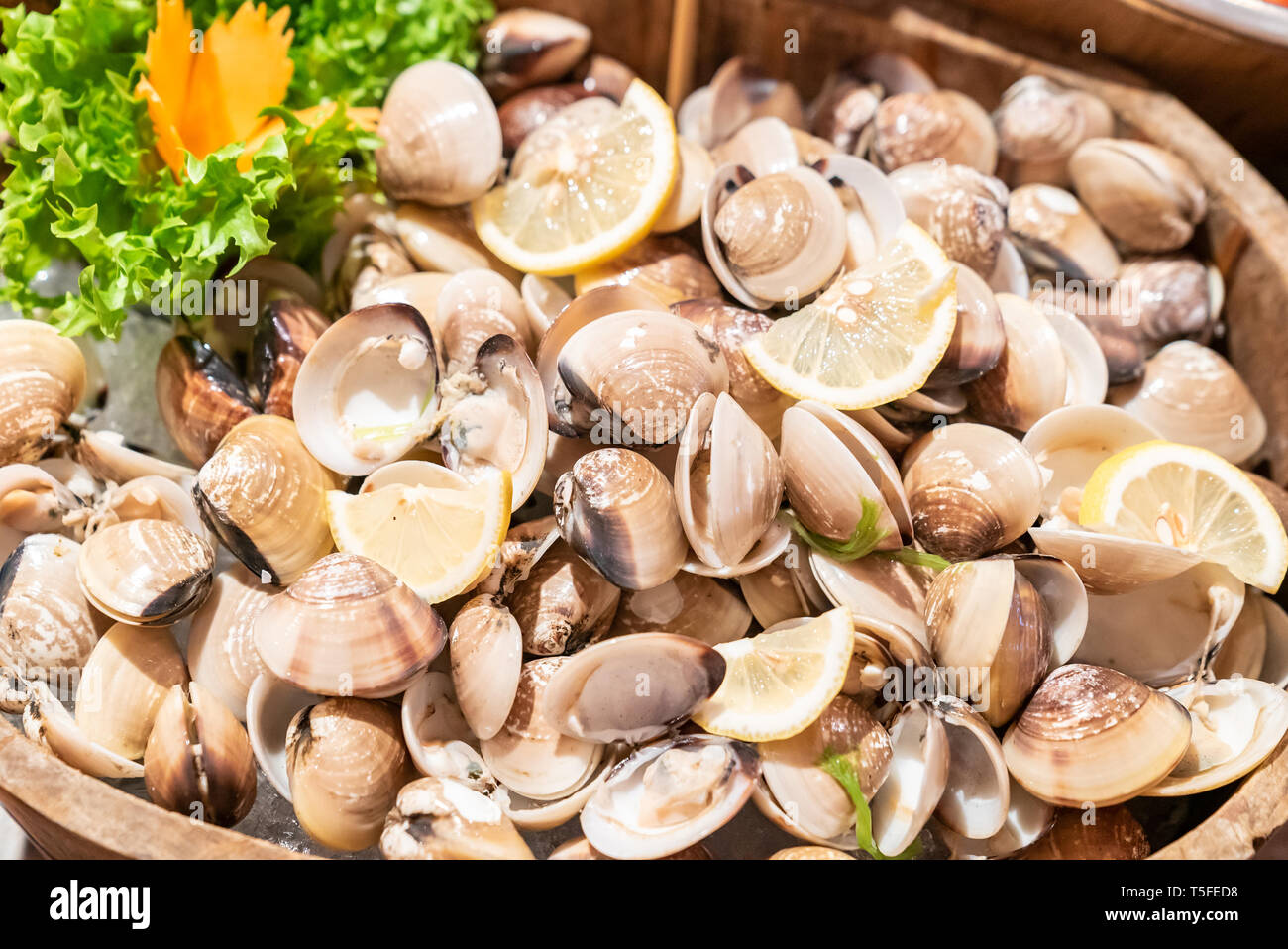 Clam Shell in Seafood on ice buffet bar Stock Photo
