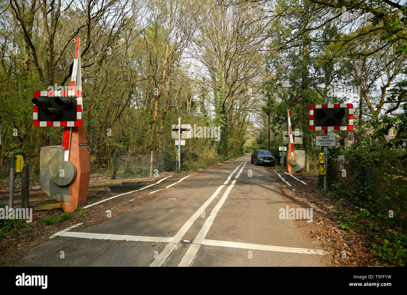 Rail and road intersection. Level crossing. Operated automatically. Stock Photo