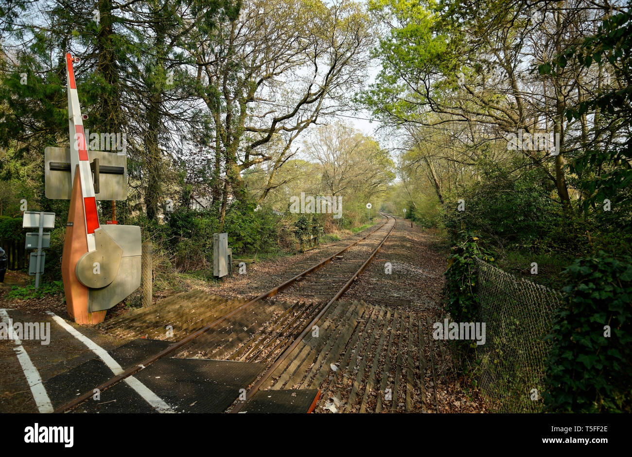 Rail and road intersection. Level crossing. Operated automatically. Stock Photo