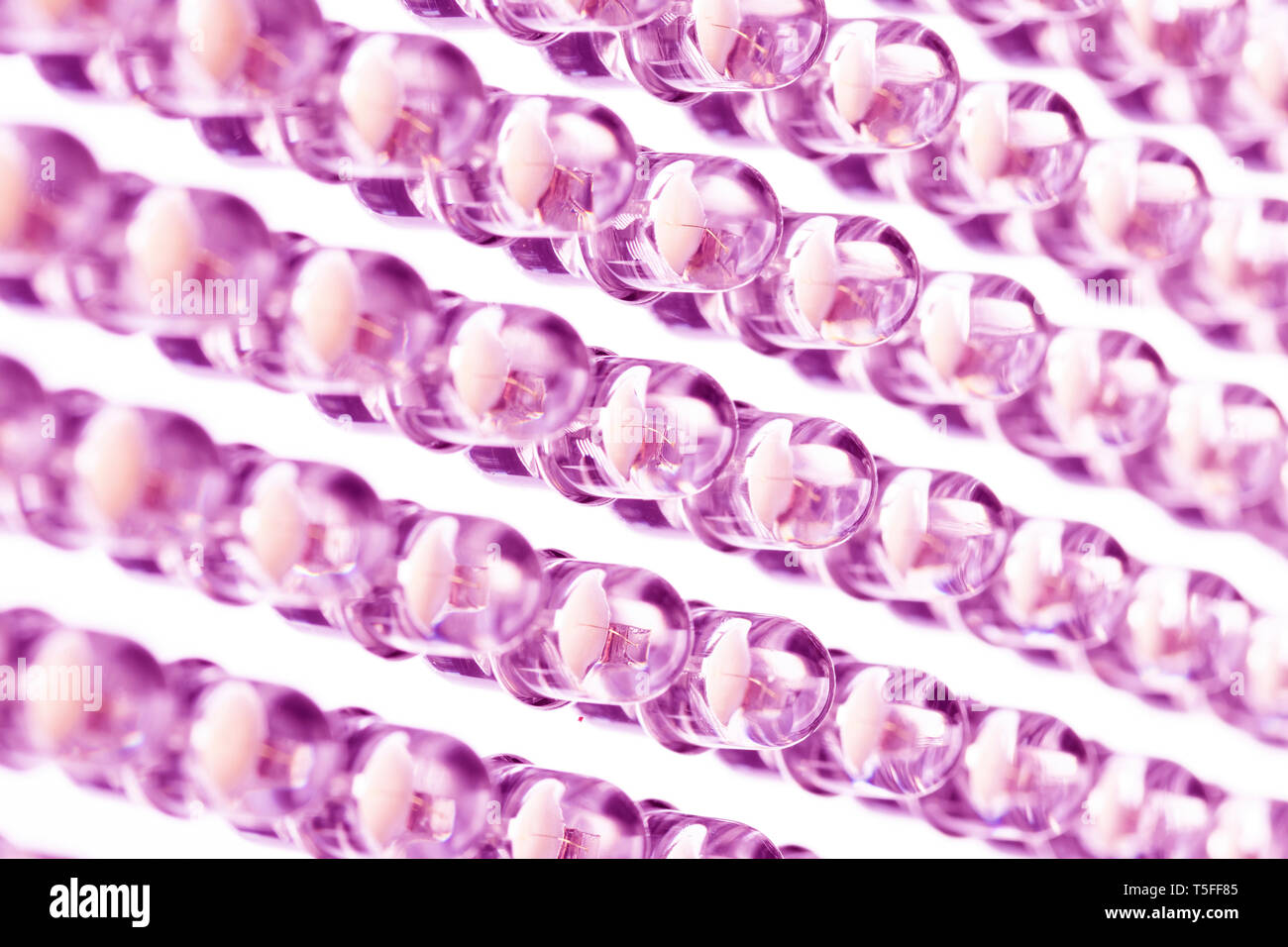 Straight rows of LEDs in the panel close-up macro. Purple pink neon glow Stock Photo