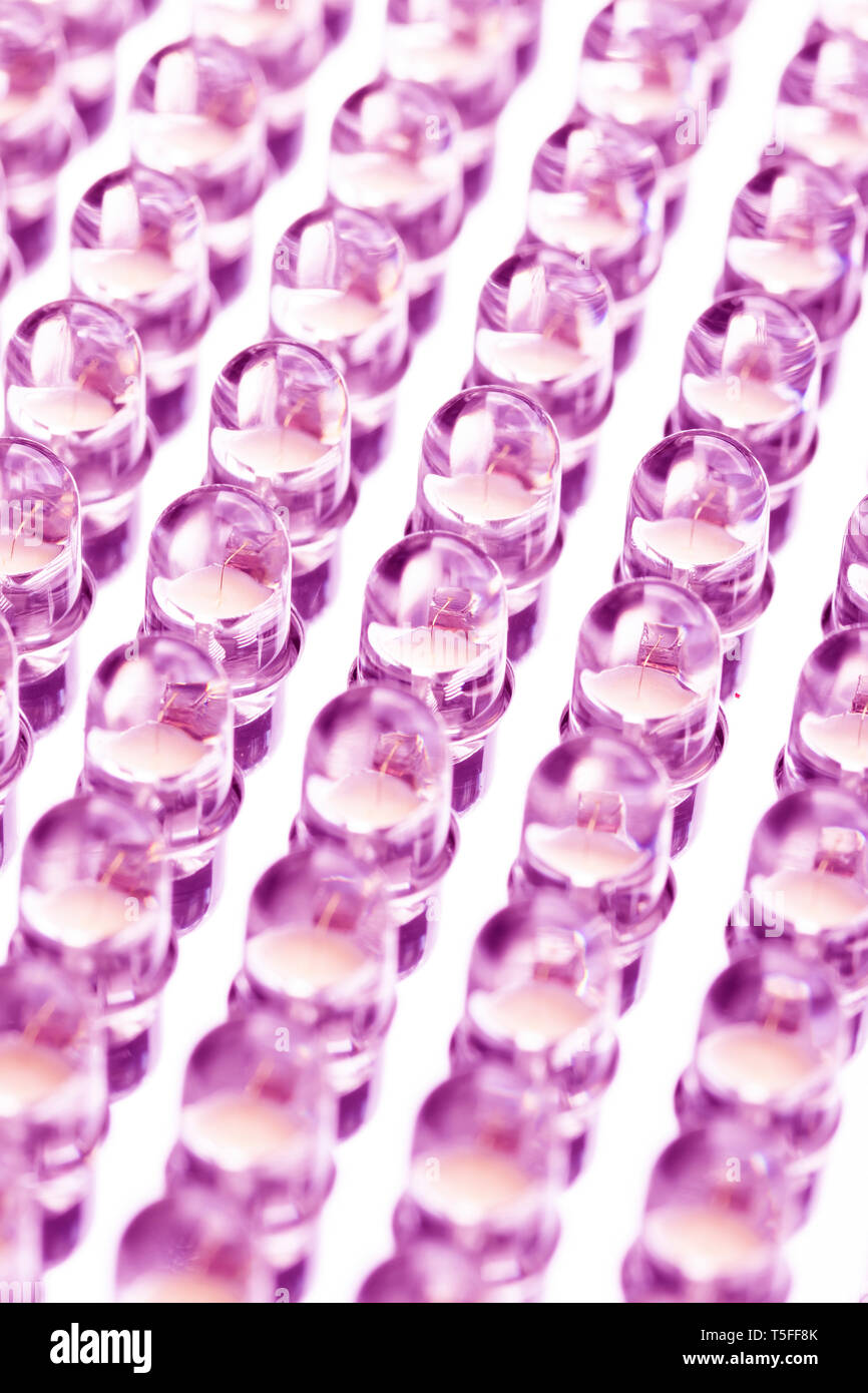 Straight rows of LEDs in the panel close-up macro. Purple pink neon glow Stock Photo