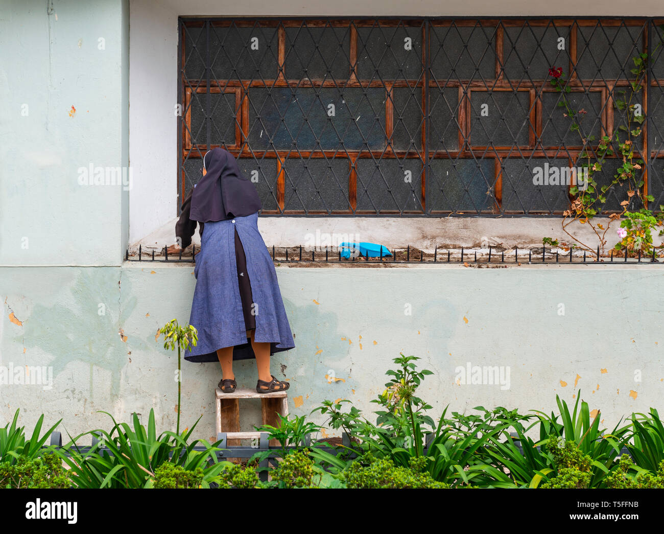 Catholic nun with habit cleaning the outside part of a convent in the city center of Cuenca, Ecuador. Stock Photo