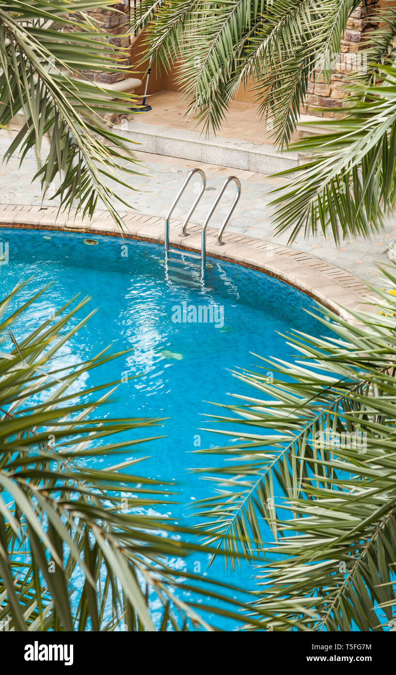 Swimming pools surrounded by palm trees and lush evergreen in a